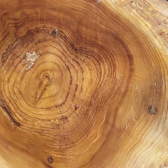 Hollow Carved Wood Stump Catchall Bowl Bin 7" Wide 3" Tall Burl Wood - Picture 4 of 5